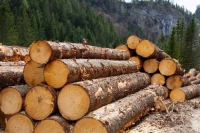 Готовый бизнес Продам деревообрабатывающее предприятие